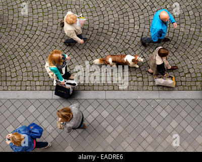 Aerial view of people walking their dog on a leash Stock Photo