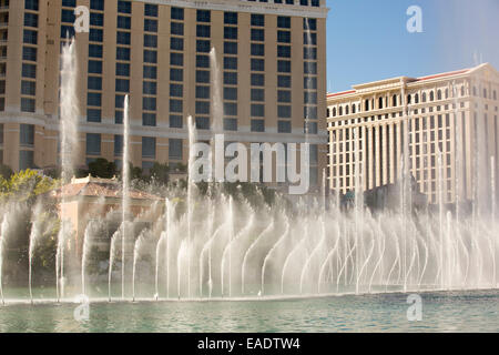 Las Vegas Bellagio Casino Floor Editorial Photo - Image of casino, indoor:  266220266