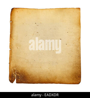 Old Blank Vellum Paper Isolated on White Background. Stock Photo