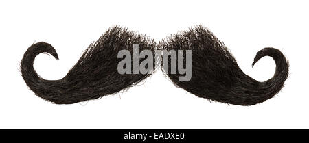 Dark Mens Mustache Isolated on White Background. Stock Photo