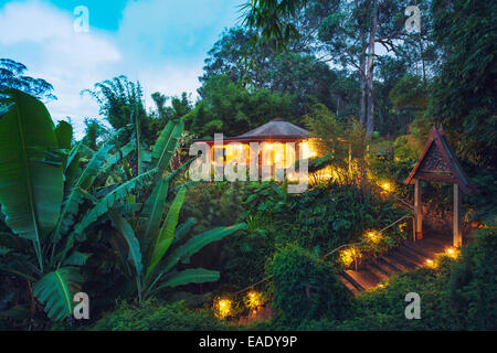 Tropical Cabin Retreat in the Jungle at Sunset Stock Photo