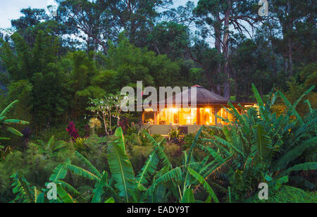 Tropical Cabin Retreat in the Jungle at Sunset Stock Photo