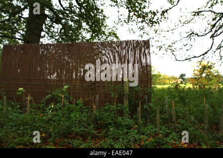 Anmer Hall, Norfolk, UK. 7th November, 2014. © Paul Marriott/Alamy Live News Stock Photo