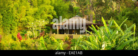 Tropical Cabin Retreat in the Jungle Stock Photo