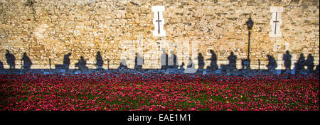 London, UK. 12th November, 2014. Poignant shadows on the wall of The Tower of London. Crowds are still flocking there in their thousands to view the art work. Shadows of the crowd projected onto the wall above the poppies provides a striking image. Credit:  Ian Ward/Alamy Live News Stock Photo