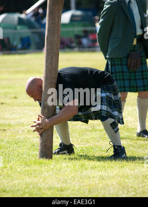 Tossing the Caber at the Aberdeen Highland Games, June 16th 2013 Stock ...