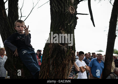 BOSNIA AND HERZEGOVINA / Vitez / People watch two bulls fighting head to head during bull fights in the town of Vitez. Stock Photo