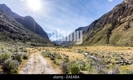 Trekking towards Laguna Rajocolta in Huascaran national park, Cordillara Blanca, Andes, Peru, South America Stock Photo