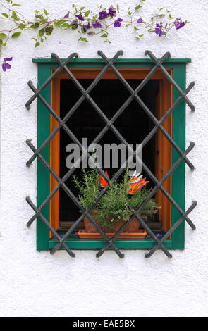 Flower pot in a decorative window with bars Stock Photo