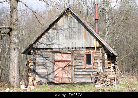 Shabby wooden hut in the forest. Early spring day, sunny midday. Stock Photo