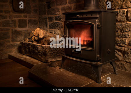 Wood burning stove and logs in a cottage living room. Stock Photo