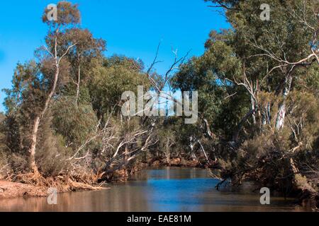 Gascoyne river in Western Australia Stock Photo