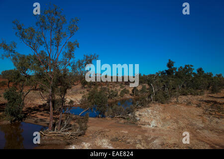 Gascoyne river in Western Australia Stock Photo