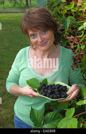 Woman harvesting blackberries in a garden and holding them in a bowl, Hesse, Germany Stock Photo