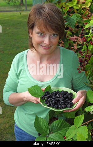 Woman harvesting blackberries in a garden and holding them in a bowl, Hesse, Germany Stock Photo