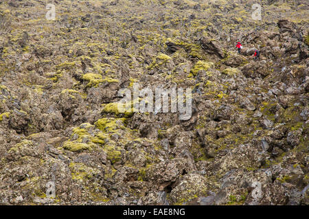 Hikers in the Landmannalaugar region, Landmannalaugar, Southern Region, Iceland Stock Photo