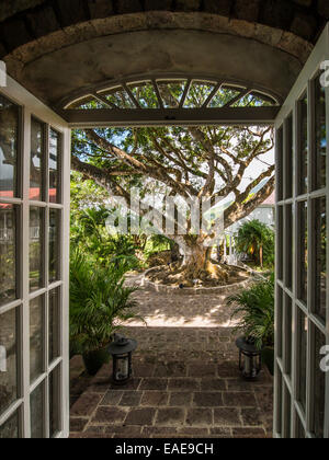 Landscape scene depicting an open doorway as frame for beautiful tree structure in background lit up by the afternoon sun. Nevis Stock Photo
