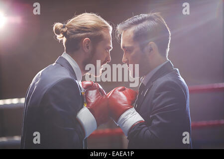 Aggressive business boxers looking at one another Stock Photo - Alamy