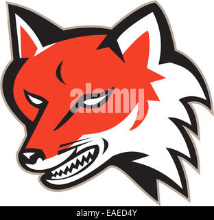 Illustration of an angry fox wild dog wolf head set on isolated white background done in retro style. Stock Photo