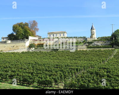 Chateau Clos La Madeleine Vineyard at St Emilion, Bordeaux Stock Photo