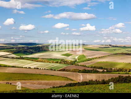 View of the South Downs looking North from the South Downs Way between Brighton and Lewes, East Sussex Stock Photo