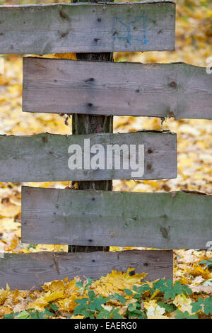wood fence autumn wooden fence Stock Photo