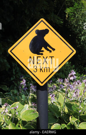 Sign for koala bears at Edinburgh Zoo for different animal enclosures, in Scotland, UK Stock Photo