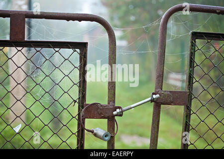 old rusty gate with closed lock and spider web on it Stock Photo