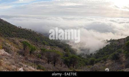 Low stratus clouds from sea entering mainland pine trees mountains low clouds, Mijas, Spain, Andalusia. Stock Photo