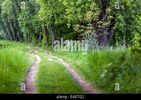 Path through rural countryside Stock Photo