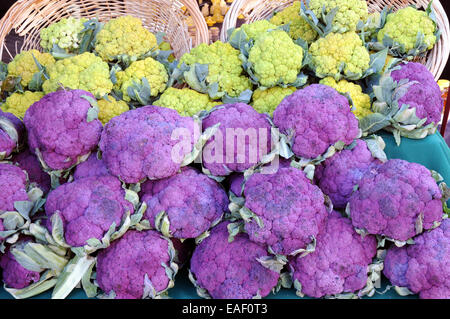 Fresh broccoli on sale at the weekly market in Monterey California. Stock Photo