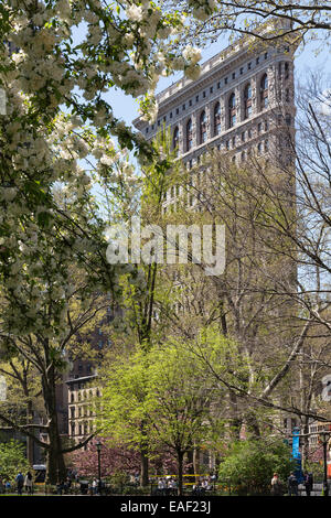 Madison Square Park and Flatiron Building in the Spring, NYC Stock Photo