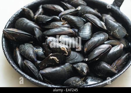 Mussels in shell in a frying pan Stock Photo