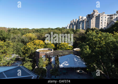 Fifth Avenue and Central Park View from The Arsenal Roof  in Autumn, NYC Stock Photo