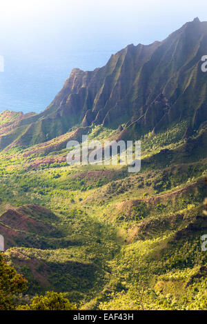 North America, Hawaii, Kauai. Pihea Trail. This trail is as slippery ...