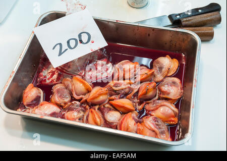 Mollusks for sale, Tsukiji Fish Market, Tokyo, Japan Stock Photo