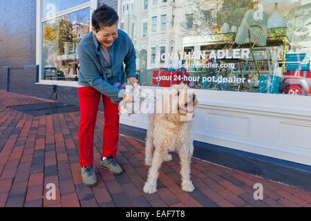 Asian woman walking a Goldendoodle dog - USA Stock Photo
