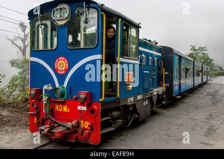 The Darjeeling Himalayan Railway (aka The Toy Train) Near Darjeeling, West Bengal, India Stock Photo