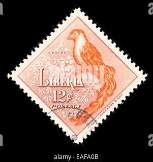 Postage stamp from Liberia depicting a weaver bird. Stock Photo