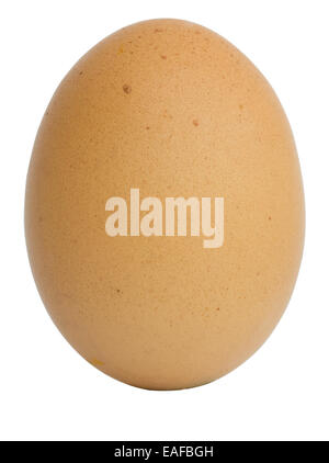 Single brown chicken egg isolated on white background Stock Photo
