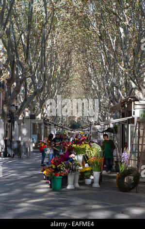 La Rambla,Palma de Mallorca, Stock Photo