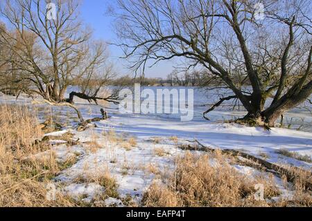 Hohensaaten-Friedrichsthaler Wasserstraße in winter, Lower Oder Valley National Park, Germany Stock Photo