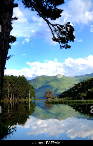 paisaje con lago en los pirineos, valle de Aran, Gerona, España Stock Photo
