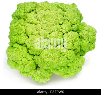 a head of broccoli on a white background Stock Photo