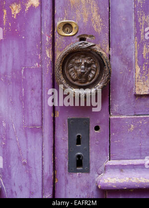 Purple door with a lion shaped handle Stock Photo