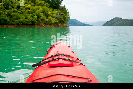 Red touring kayak in green waters of the Marlborough Sounds, New Zealand Stock Photo