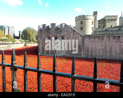 2014 Ceramic poppy display Tower of London symbolising the World War 1 Centenary 'Blood Swept Lands and Seas of Red’ Stock Photo