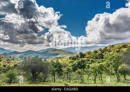 Le Madonie is a mountain range in the middle of the north coast of Sicily, Italy, Europe Stock Photo