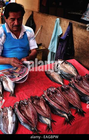 Caballa fish - Market in TUMBES. Department of Tumbes .PERU Stock Photo ...