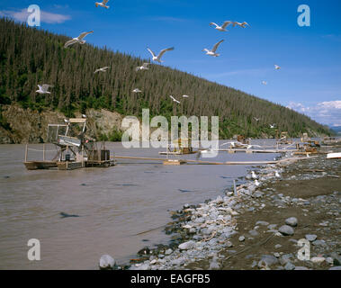 Fishing wheel in copper river hi-res stock photography and images - Alamy